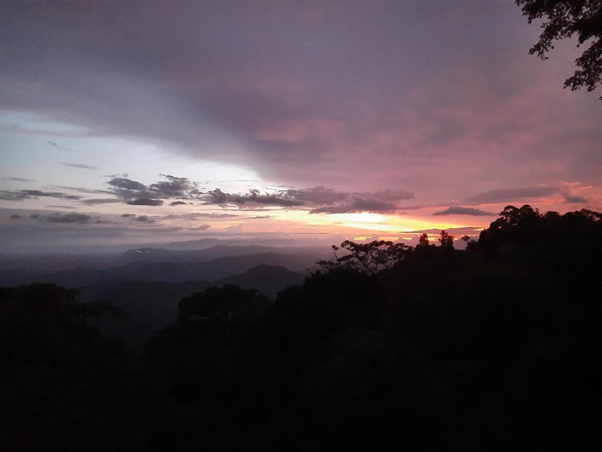 Glenmyu Estate Apartment Haputale Bagian luar foto