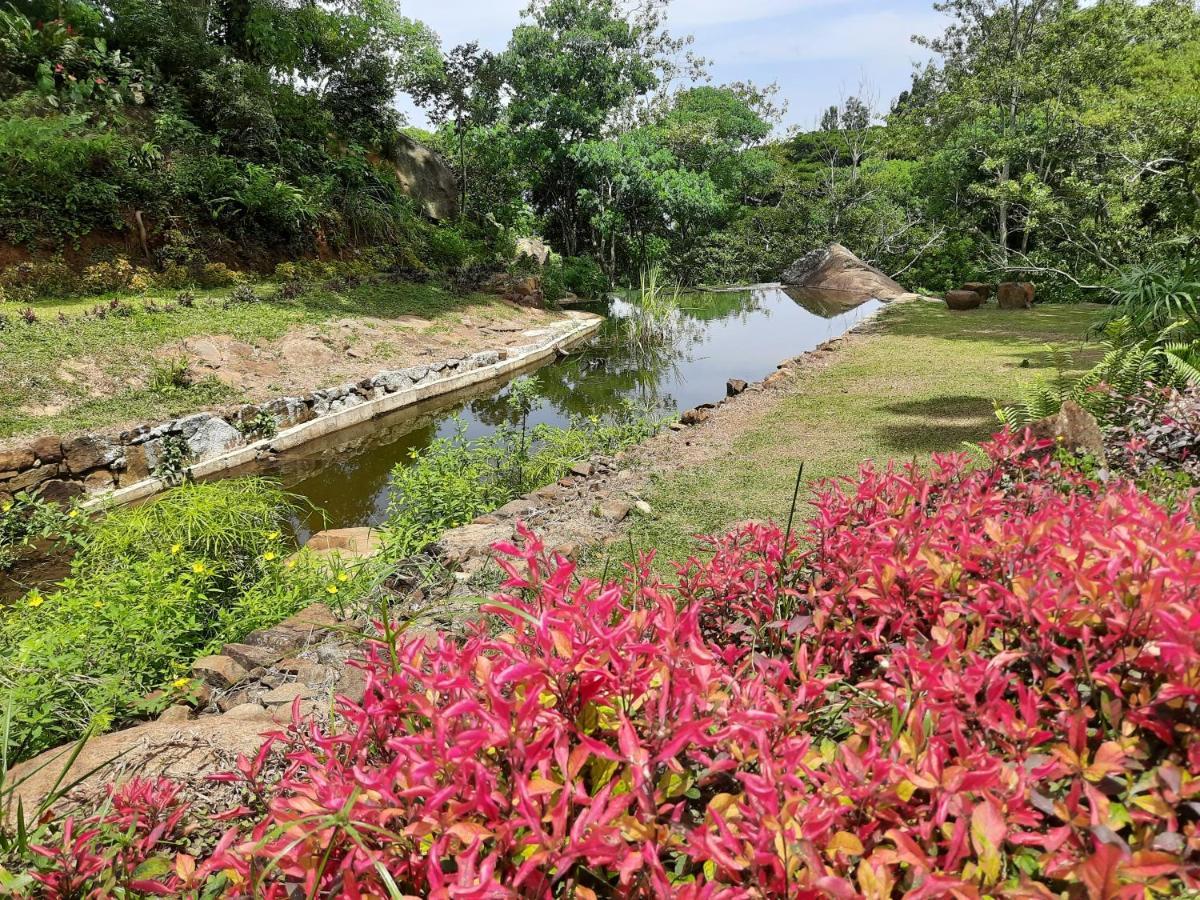 Glenmyu Estate Apartment Haputale Bagian luar foto